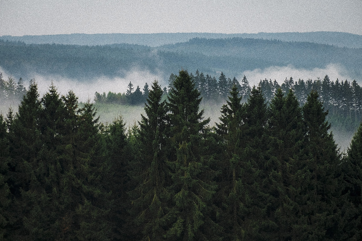 Ardennes