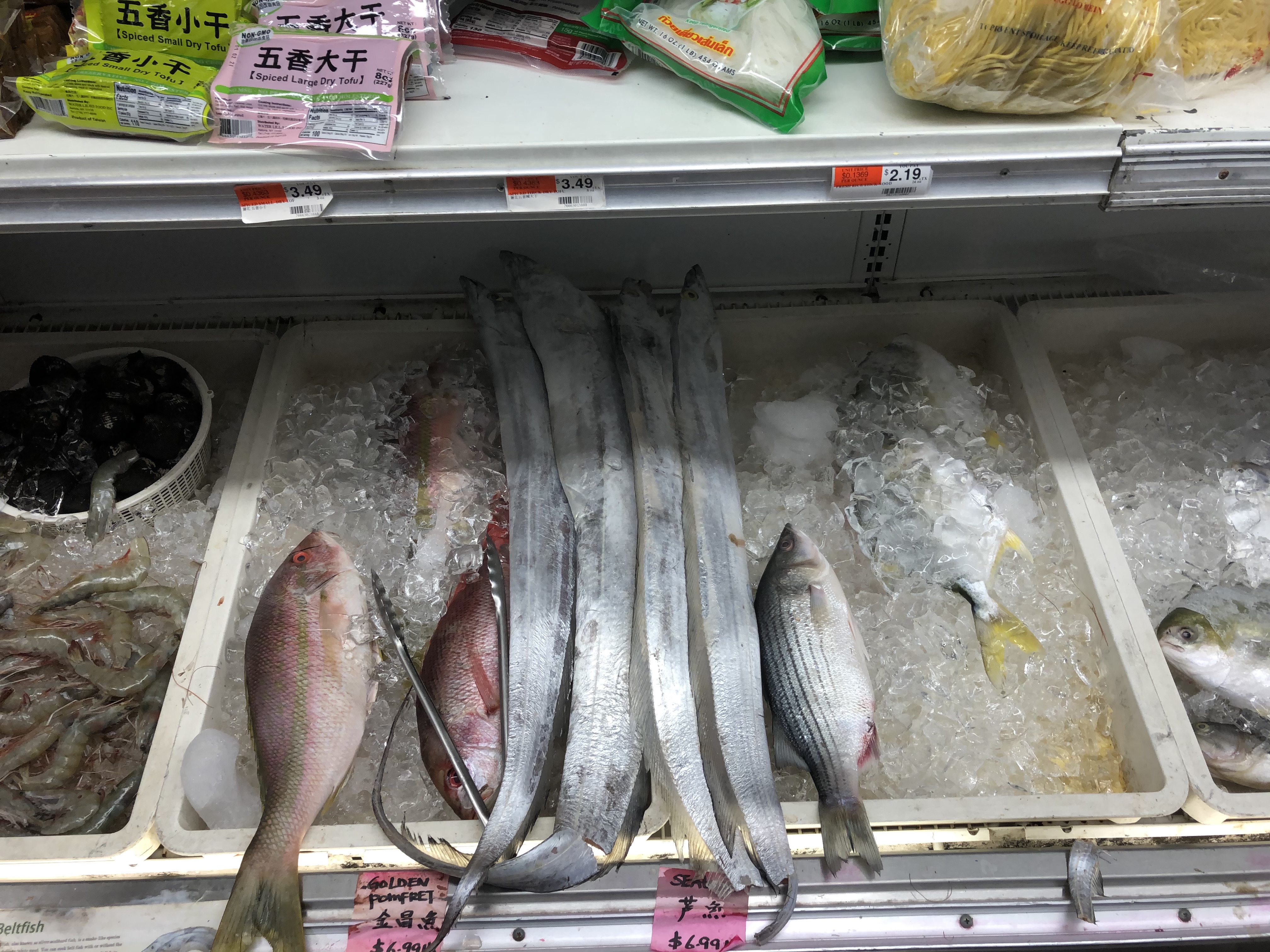 Fish