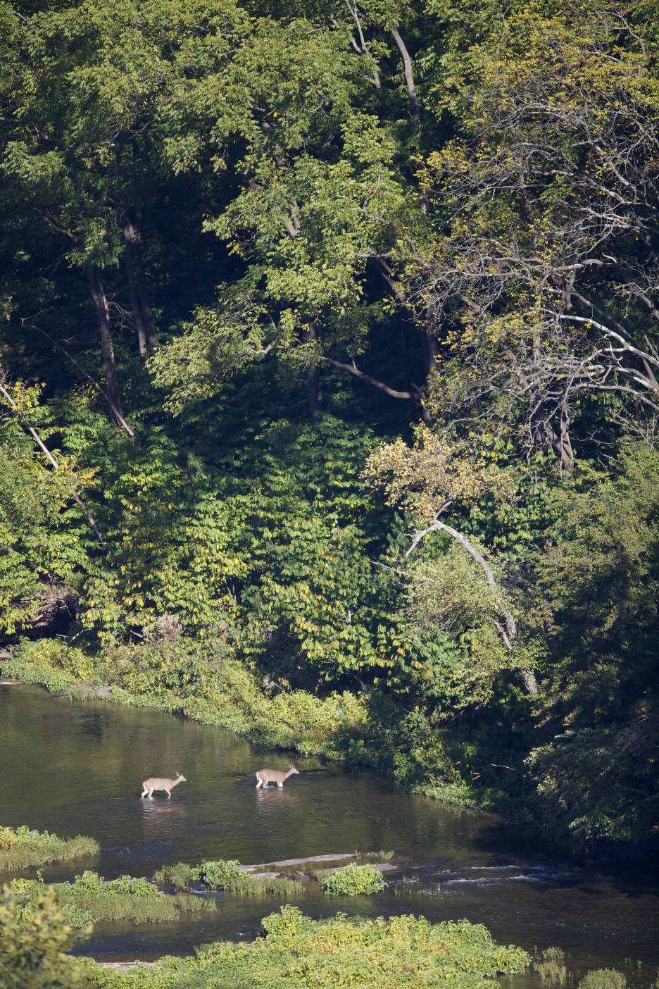 river crossing